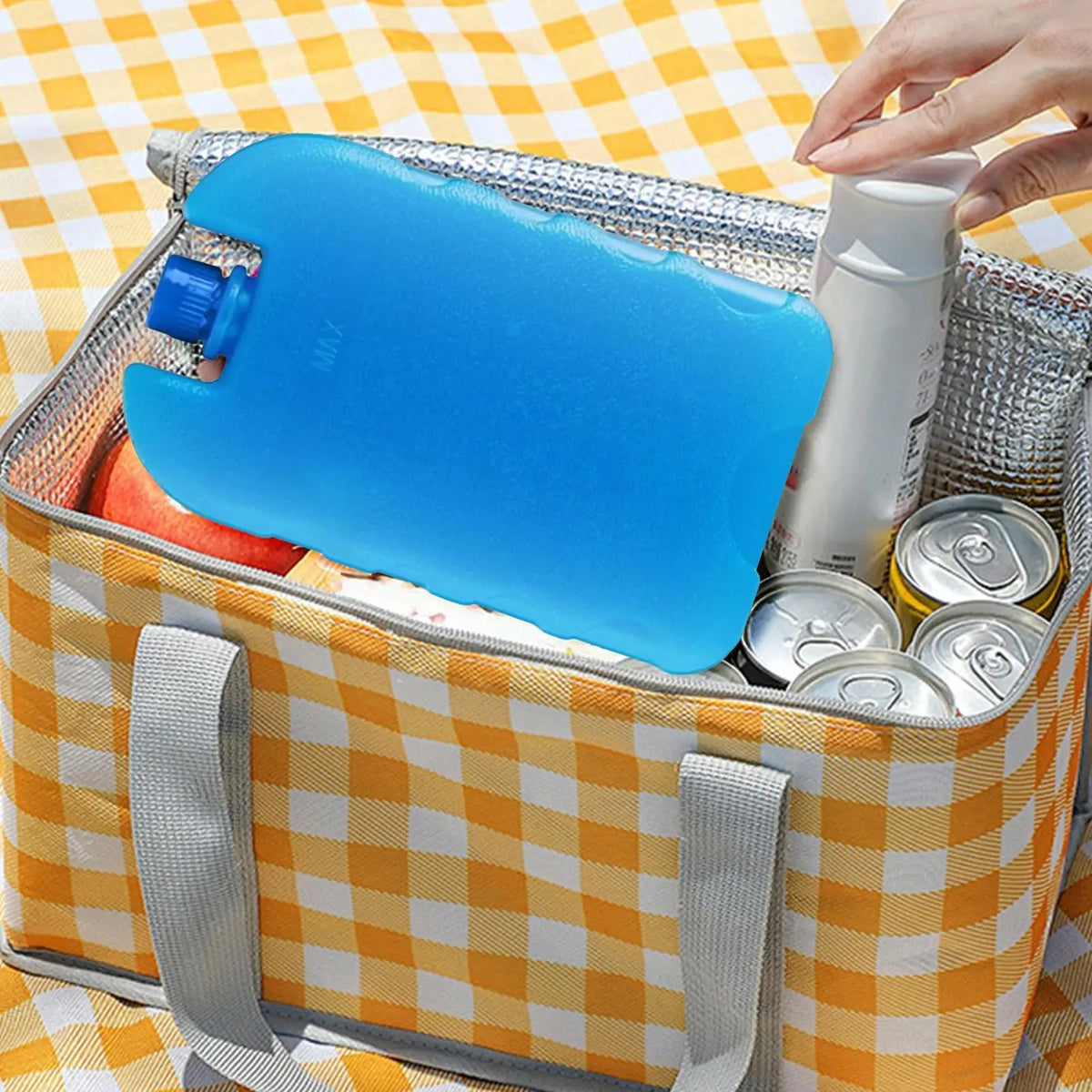 Reusable Cooler Ice Pack | Beach, Camping & Travel | Jungle & J