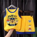 PAW Patrol Boys Mesh Vest & Shorts Set | Breathable Summer Basketball Outfit for Kids Ages 1–10